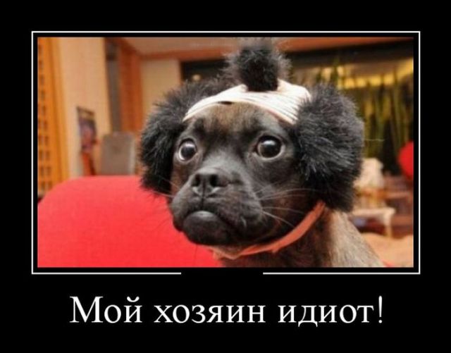 Демотиваторы