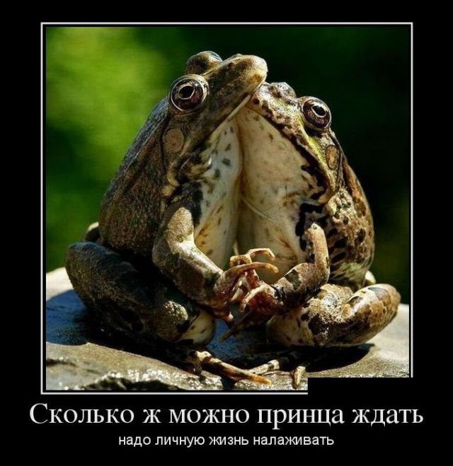 Демотиваторы