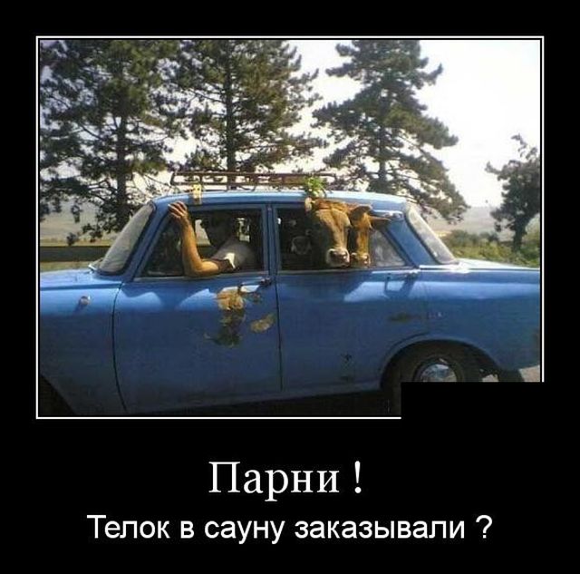 Демотиваторы
