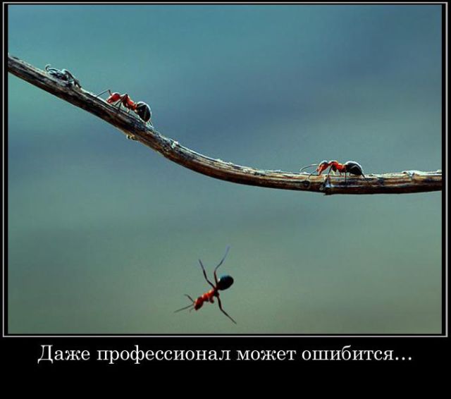 Демотиваторы