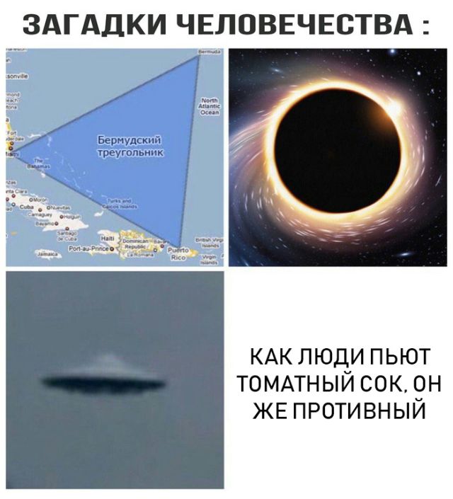 Прикольные картинки