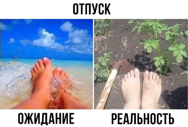 Прикольные картинки