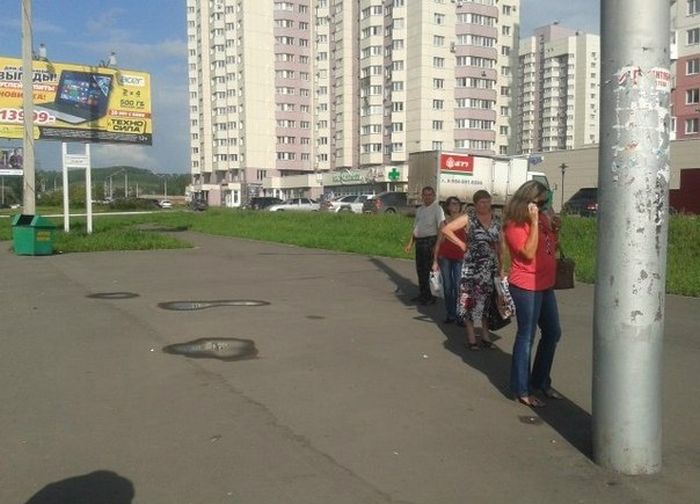 Прикольные картинки