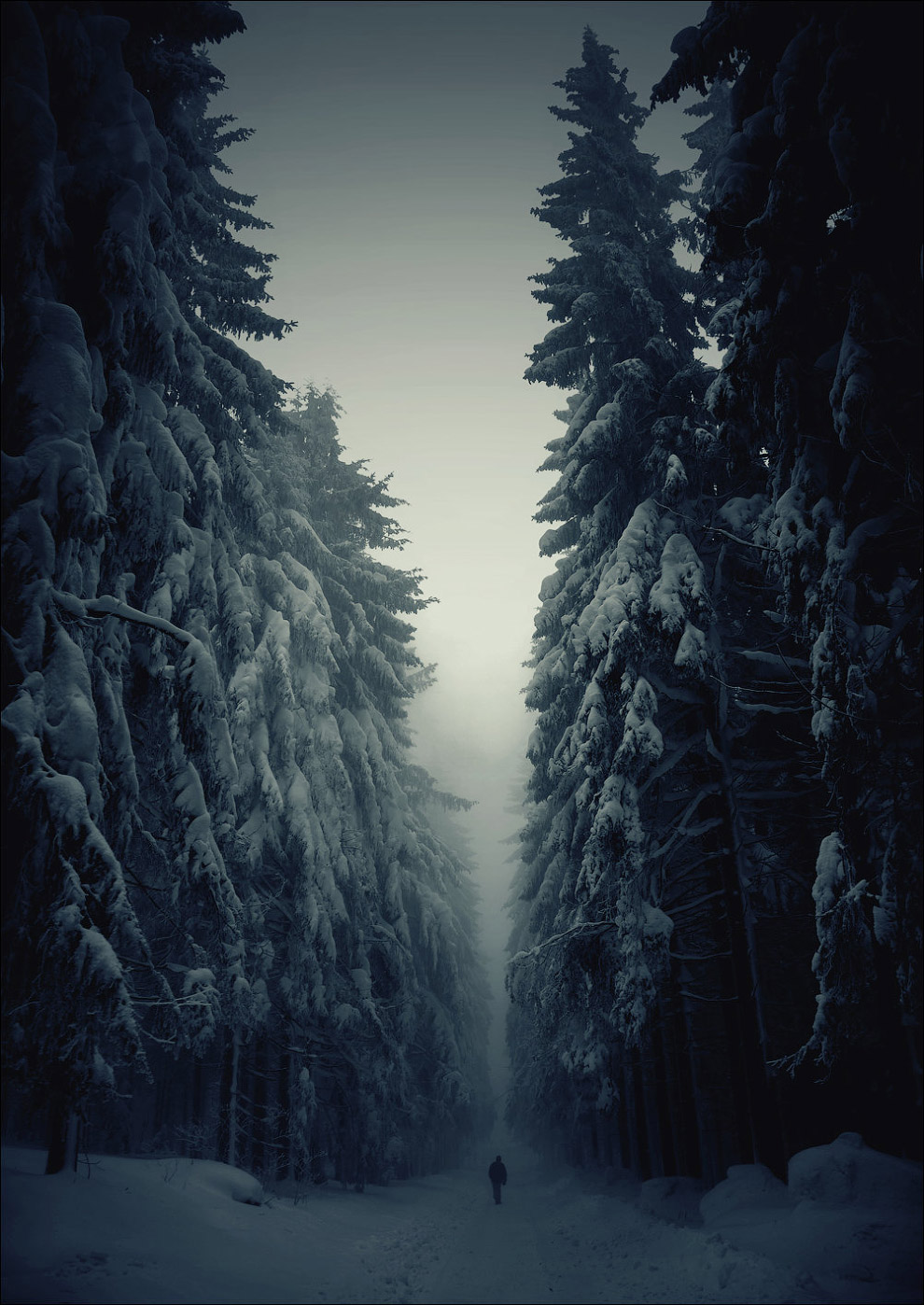 Человек и природа