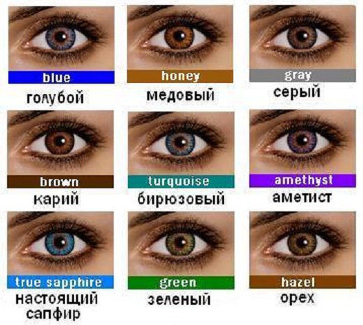 Человеческие глаза – только факты Человеческие глаза – только факты