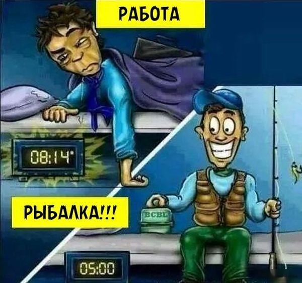 Порция картинок