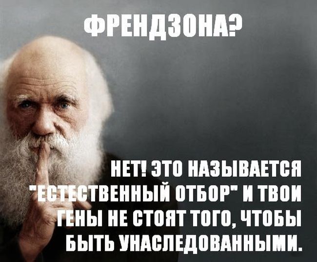 Порция картинок
