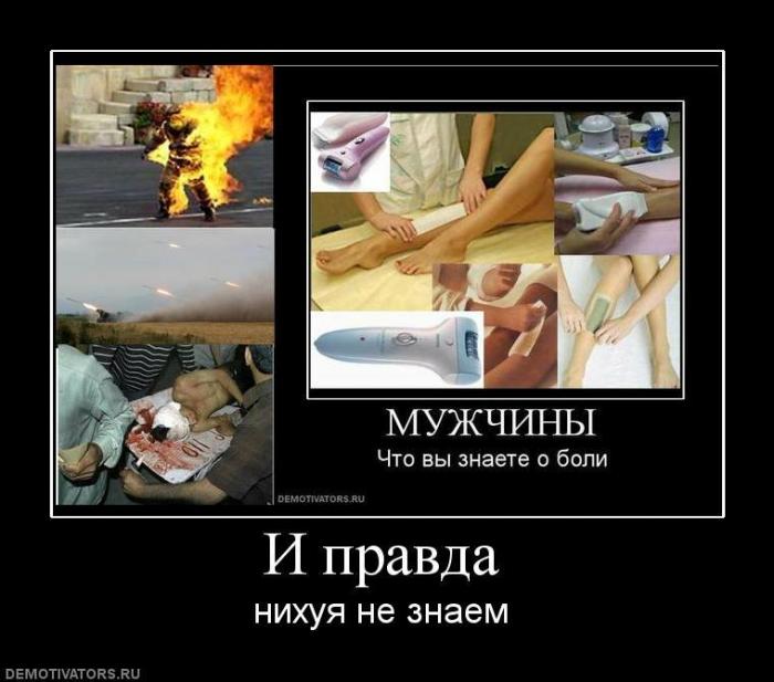 Демотиваторы (73 фото)