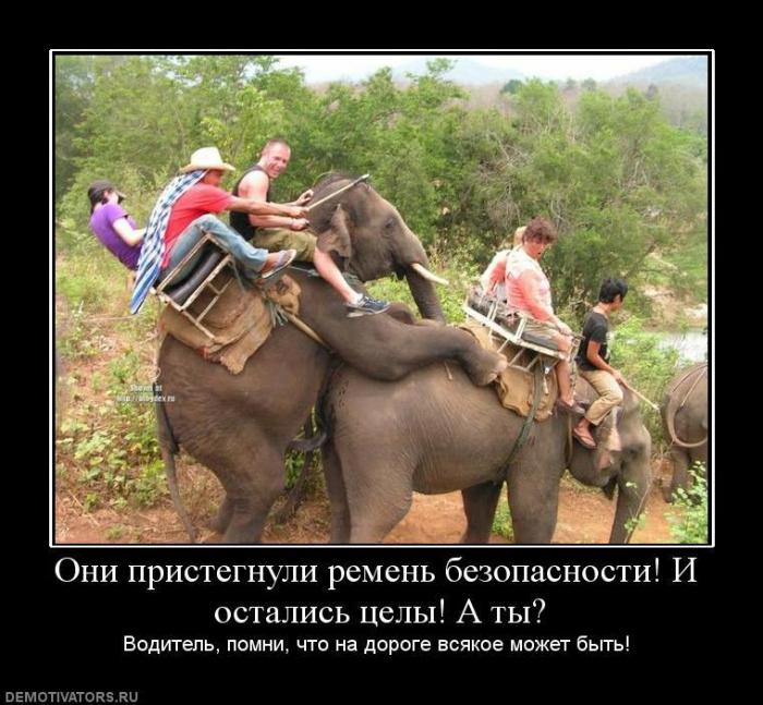 Демотиваторы (73 фото)