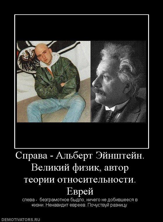Демотиваторы (73 фото)