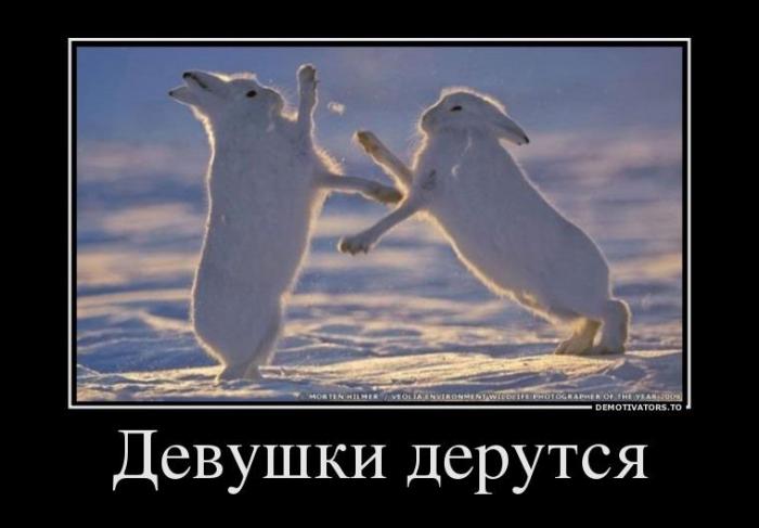 Демотиваторы (73 фото)