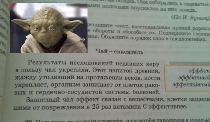 Прикольные картинки (40 фото)
