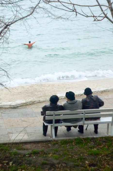 Прикольные картинки