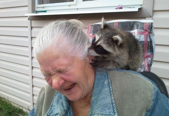 Прикольные картинки