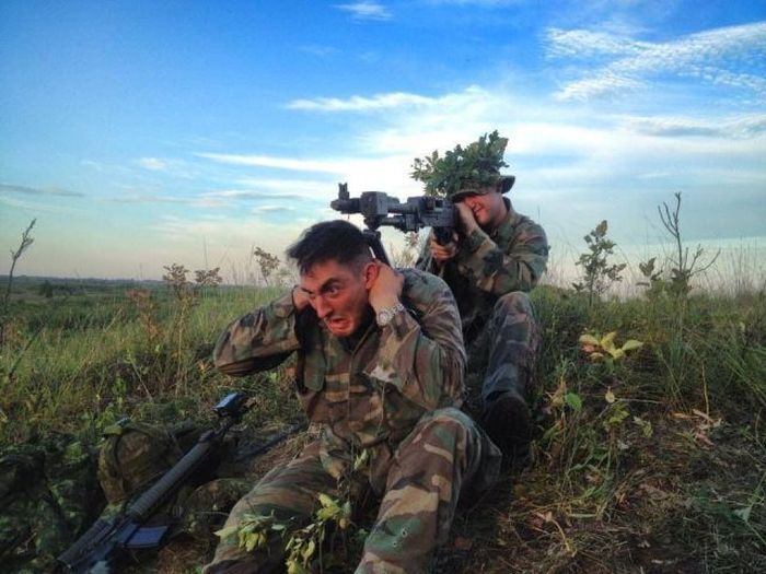 Прикольные картинки