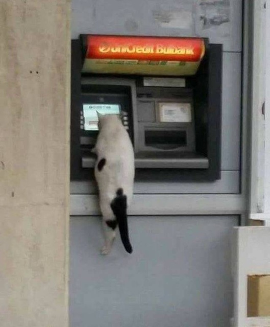 Фотографии, к которым сложно найти рациональное объяснение