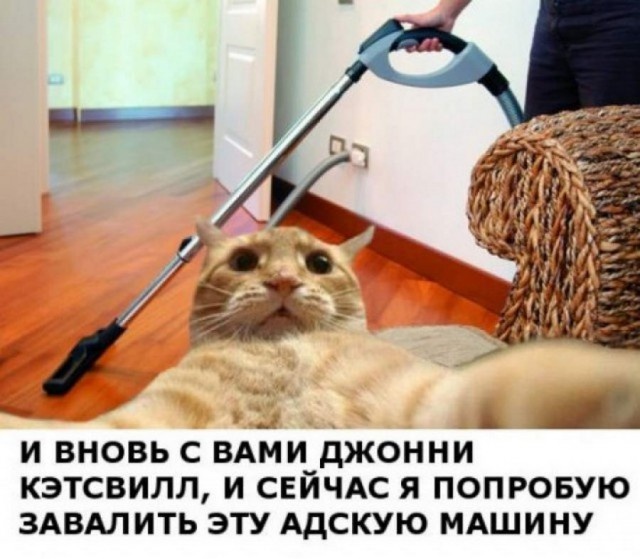 Как появились известные интернет-мемы Как появились известные интернет-мемы
