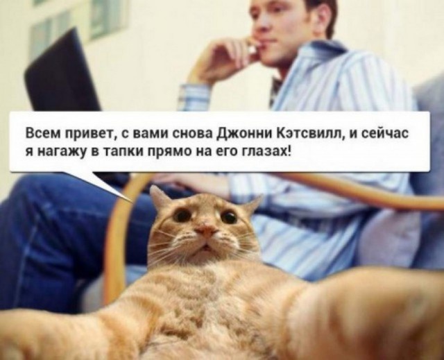 Как появились известные интернет-мемы Как появились известные интернет-мемы