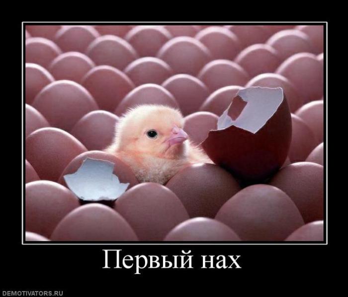 Демотиваторы (85 фото)