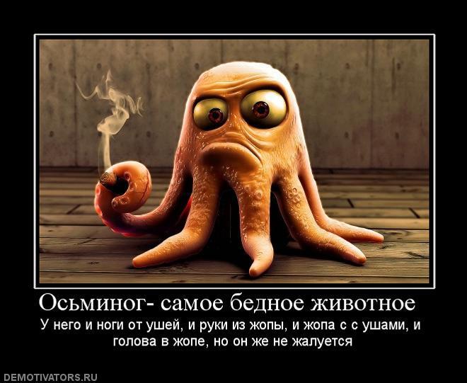 Демотиваторы (85 фото)