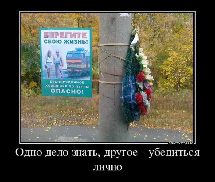 Демотиваторы (85 фото)
