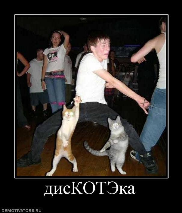 Демотиваторы (85 фото)