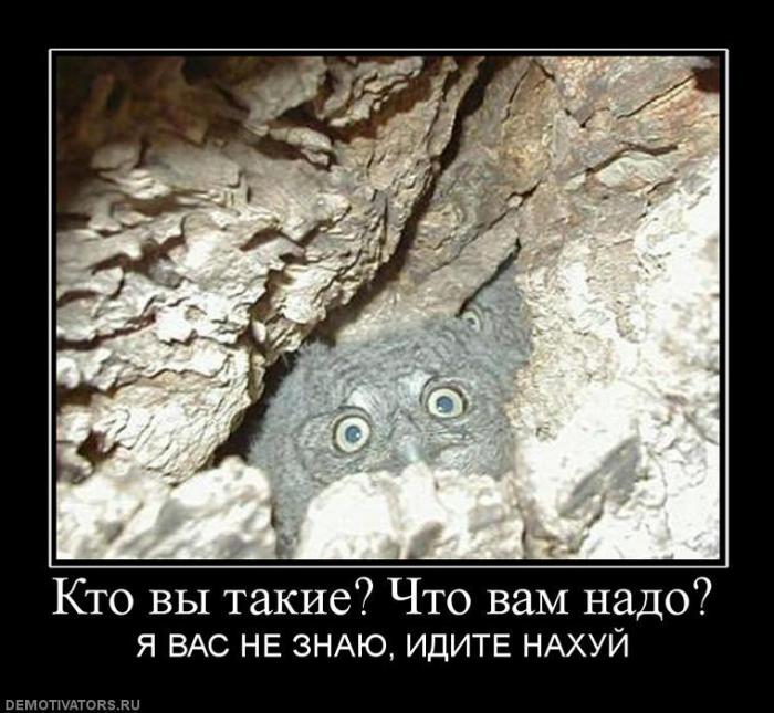 Демотиваторы (85 фото)