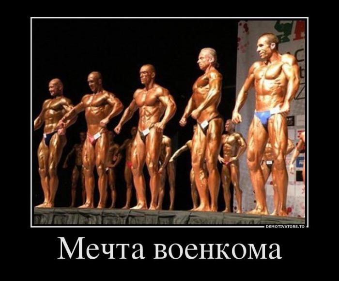 Демотиваторы (85 фото)