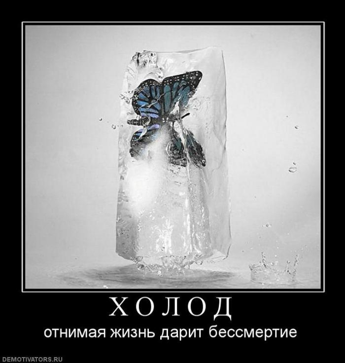 Демотиваторы (85 фото)