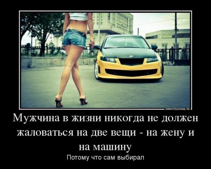 Демотиваторы (85 фото)