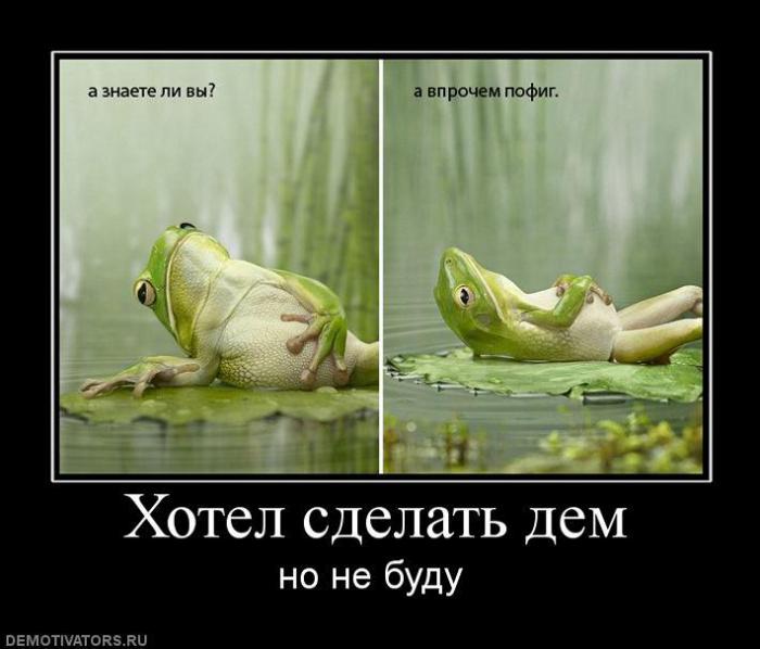 Демотиваторы (85 фото)