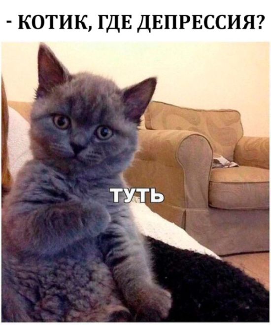 Прикольные картинки
