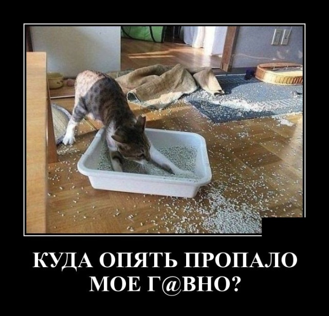 Демотиваторы