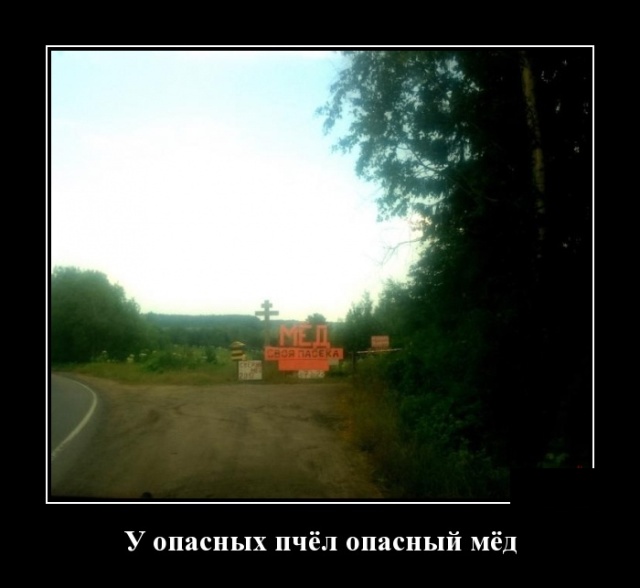 Демотиваторы