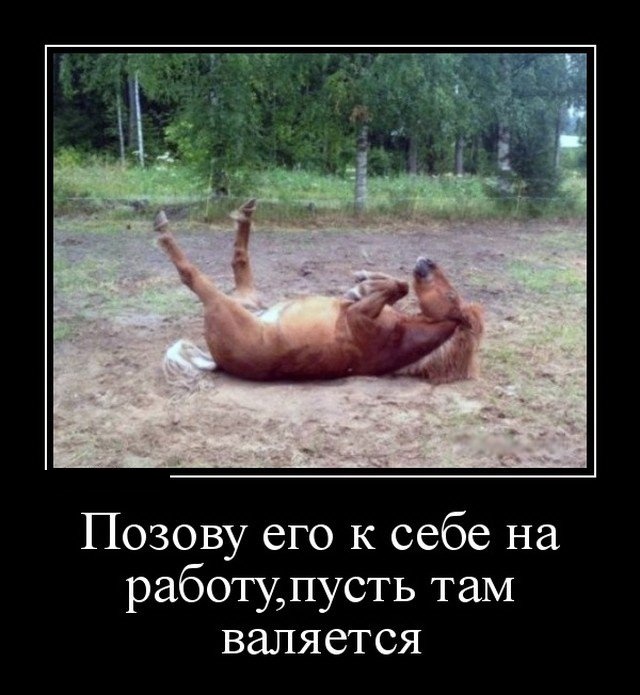 Демотиваторы
