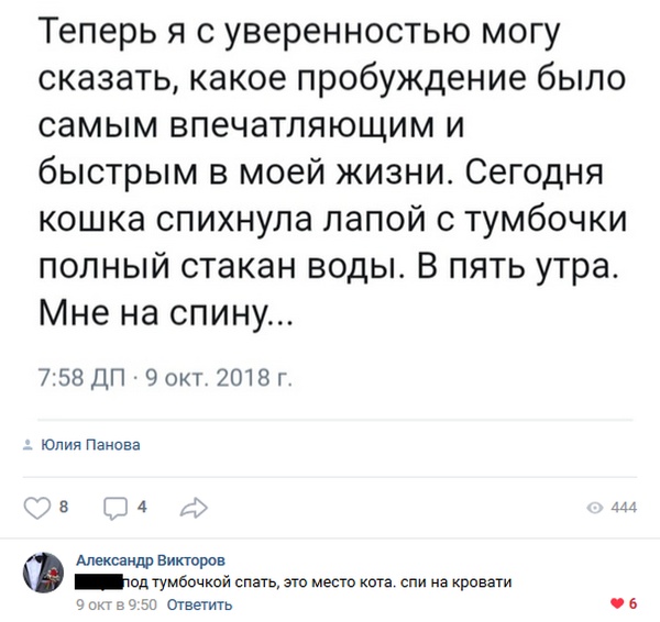 Высказывания и комментарии из социальных сетей