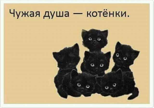 Странный и нестандартный юмор