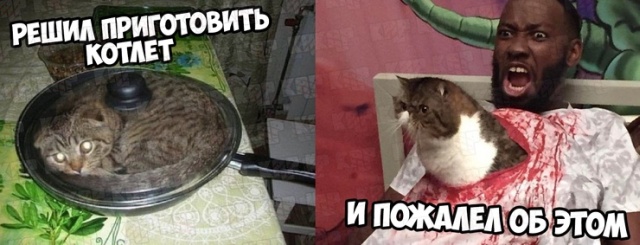 Странный и нестандартный юмор