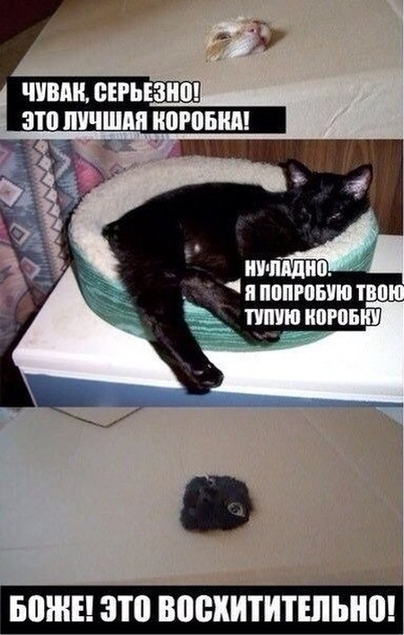 Странный и нестандартный юмор