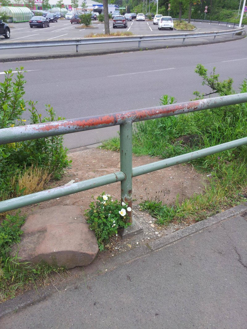Строительные маразмы