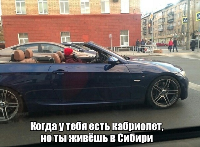 Прикольные картинки