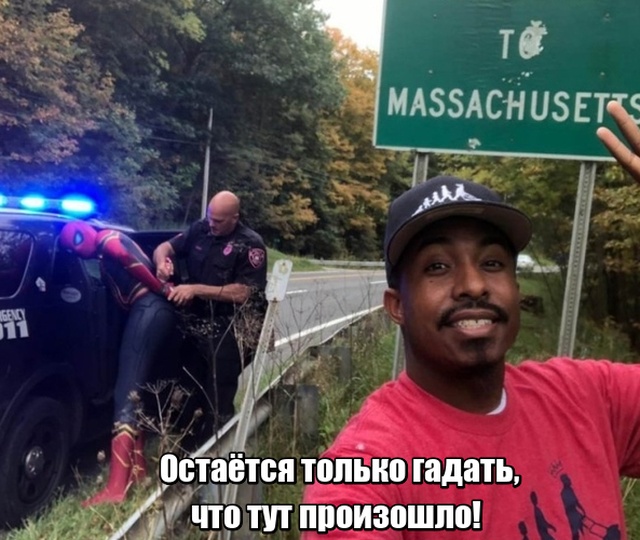 Прикольные картинки