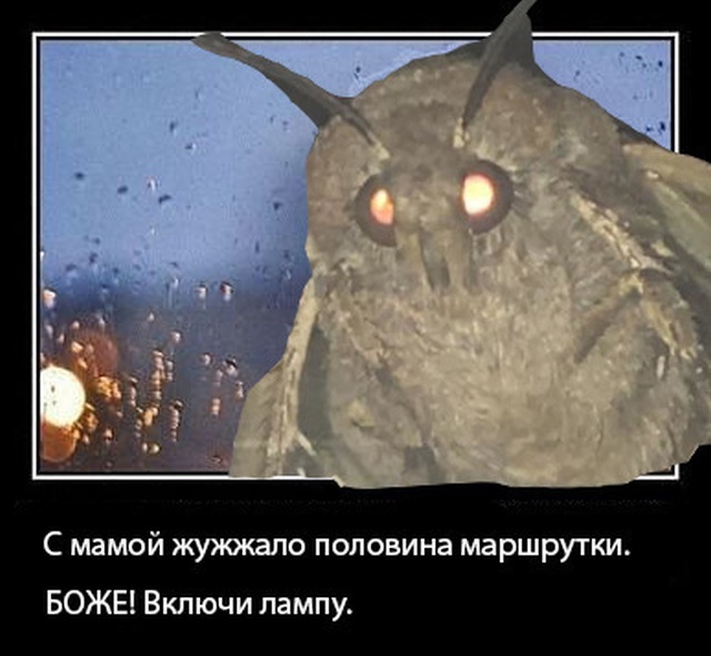 Джессика Нигри изобразила "мотылька" из известного мема