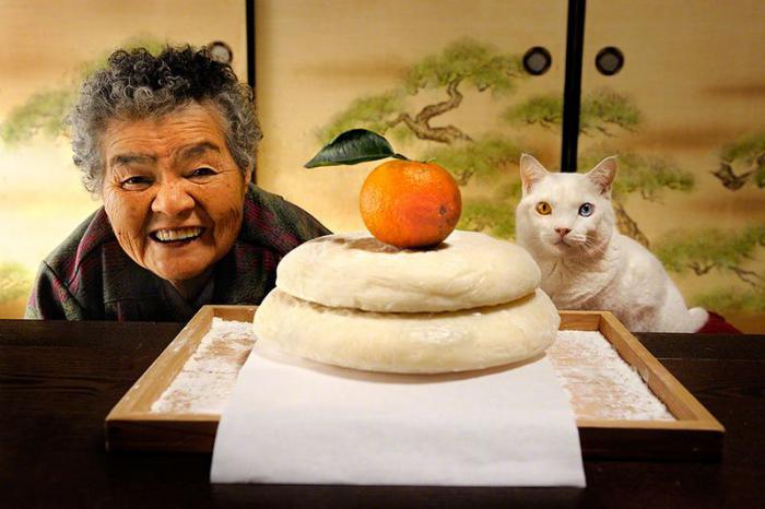 Бабушка и кошка