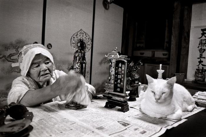 Бабушка и кошка