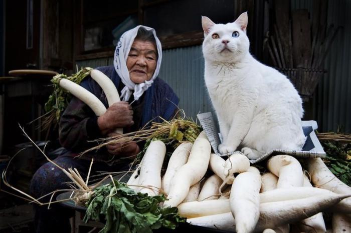 Бабушка и кошка