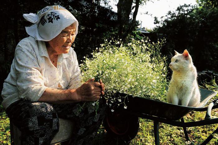 Бабушка и кошка