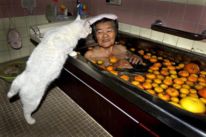 Бабушка и кошка