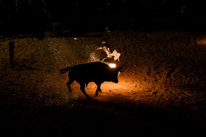 Жестокая забава - Toro de Jubilo