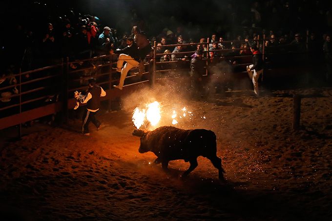 Жестокая забава - Toro de Jubilo
